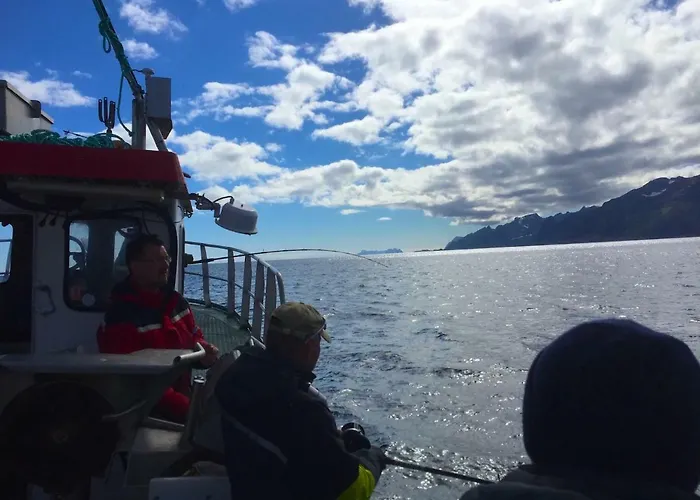 Vestresand Molo Water Front *